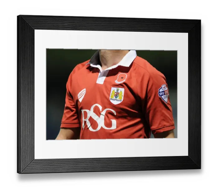 Framed Print : Bristol City's Poppy Tribute: FA Cup Clash at Gillingham's Priestfield Stadium (November 2014)