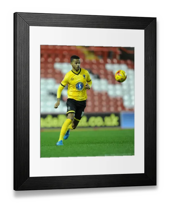 Framed Print : Bristol City vs AFC Wimbledon: Johnstone's Paint Trophy Showdown at Ashton Gate Framed Print : Bristol City vs AFC Wimbledon: Johnstone's Paint Trophy Showdown at Ashton Gate