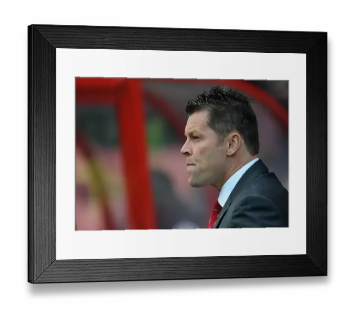 Framed Print : Steve Cotterill Leads Bristol City in Sky Bet League One Clash at Swindon Town, November 2014