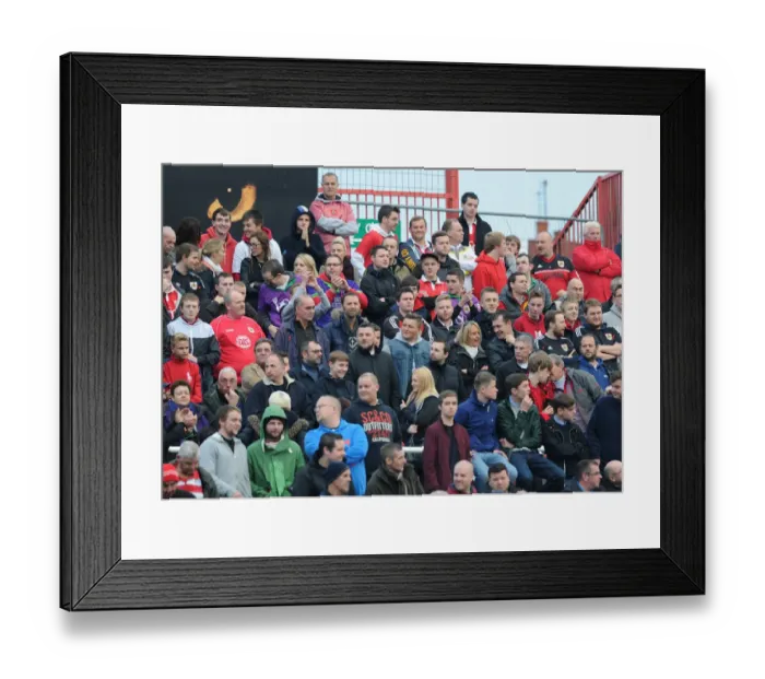 Framed Print : Bristol City Fans in Action at Swindon Town's County Ground, November 2014 Framed Print : Bristol City Fans in Action at Swindon Town's County Ground, November 2014