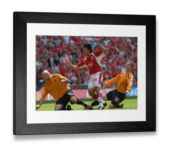 Framed Print : Nick Carle