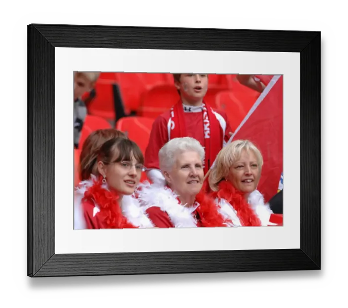 Framed Print : Bristol City FC's Thrilling Play-Off Final Victory: The Road to Championship Success (07-08 Season) Framed Print : Bristol City FC's Thrilling Play-Off Final Victory: The Road to Championship Success (07-08 Season)