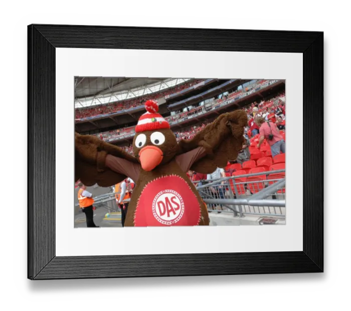 Framed Print : Bristol City FC's Thrilling Championship Play-Off Victory - Season 07-08: Play Off Final