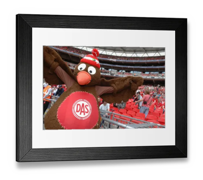 Framed Print : Bristol City FC: The Play-Off Final Journey - Season 07-08 (Wembley Bound) Framed Print : Bristol City FC: The Play-Off Final Journey - Season 07-08 (Wembley Bound)