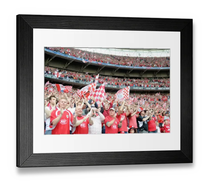 : Bristol City FC's Thrilling Championship Play-Off Victory - Season 07-08: Play Off Final : Bristol City FC's Thrilling Championship Play-Off Victory - Season 07-08: Play Off Final