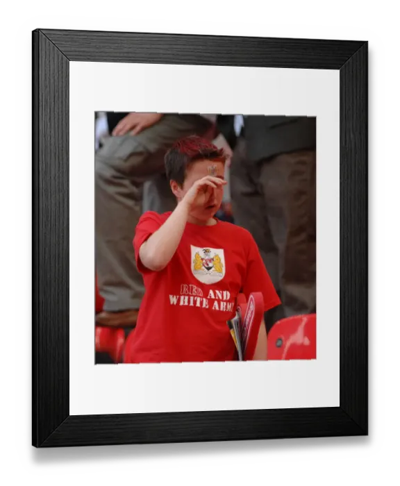 Framed Print : Thrilling Championship Showdown: Bristol City FC's Play-Off Victory - Season 07-08 Framed Print : Thrilling Championship Showdown: Bristol City FC's Play-Off Victory - Season 07-08