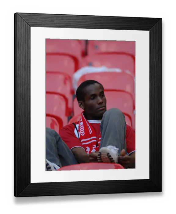 Framed Print : Bristol City FC's Thrilling Play-Off Final Victory - Season 07-08 Framed Print : Bristol City FC's Thrilling Play-Off Final Victory - Season 07-08