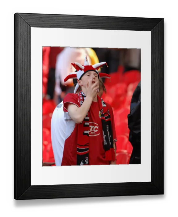 Framed Print : Bristol City FC: Thrilling Play-Off Victory - Season 07-08: Play Off Final Framed Print : Bristol City FC: Thrilling Play-Off Victory - Season 07-08: Play Off Final