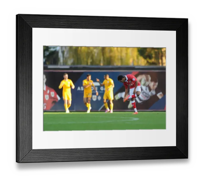 Framed Print : Bristol City v Preston North End 221114