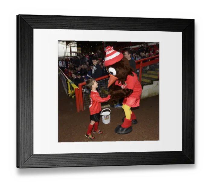 Framed Print : Young Fan Shares a Moment with Scrumpy, the Bristol City Mascot