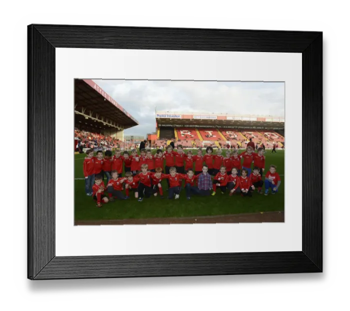 Framed Print : Bristol City vs Preston North End: A Football Rivalry in Sky Bet League One at Ashton Gate - November 2014