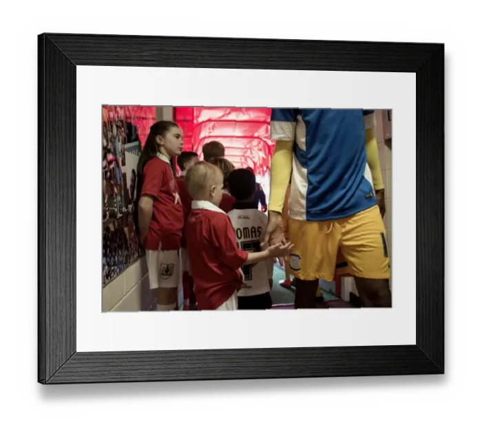 Framed Print : Mascots Ready to Kick Off: Bristol City vs. Preston North End, 2014