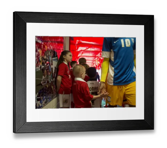 Framed Print : Mascots Ready for Action: Bristol City vs. Preston North End, Sky Bet League One Framed Print : Mascots Ready for Action: Bristol City vs. Preston North End, Sky Bet League One