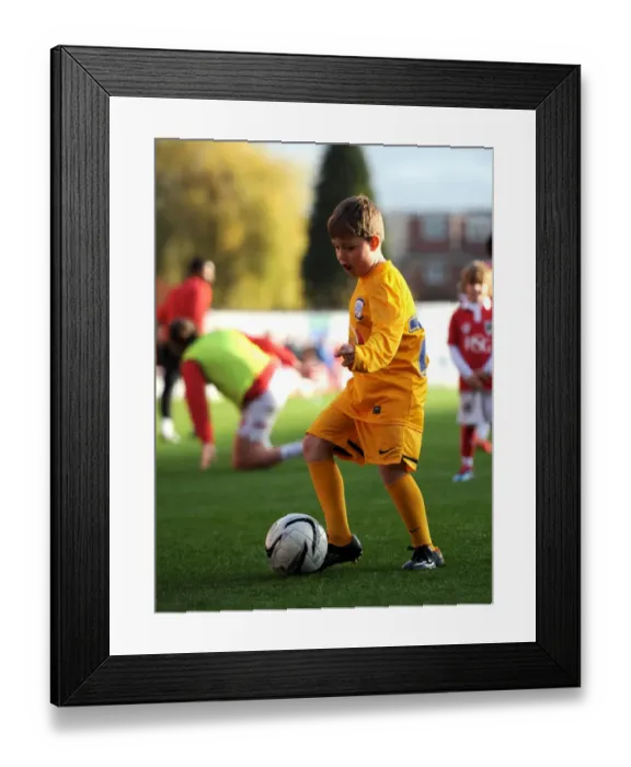 Framed Print : Bristol City vs Preston North End: A Football Rivalry in Sky Bet League One at Ashton Gate Stadium (November 2014) Framed Print : Bristol City vs Preston North End: A Football Rivalry in Sky Bet League One at Ashton Gate Stadium (November 2014)