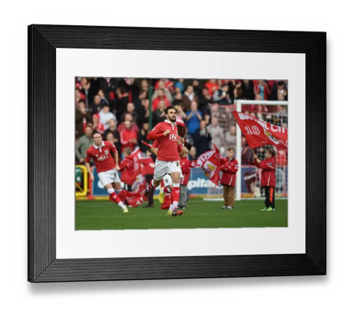 Framed Print : Bristol City Players Take to the Field against Preston North End at Ashton Gate Stadium, 2014 Framed Print : Bristol City Players Take to the Field against Preston North End at Ashton Gate Stadium, 2014