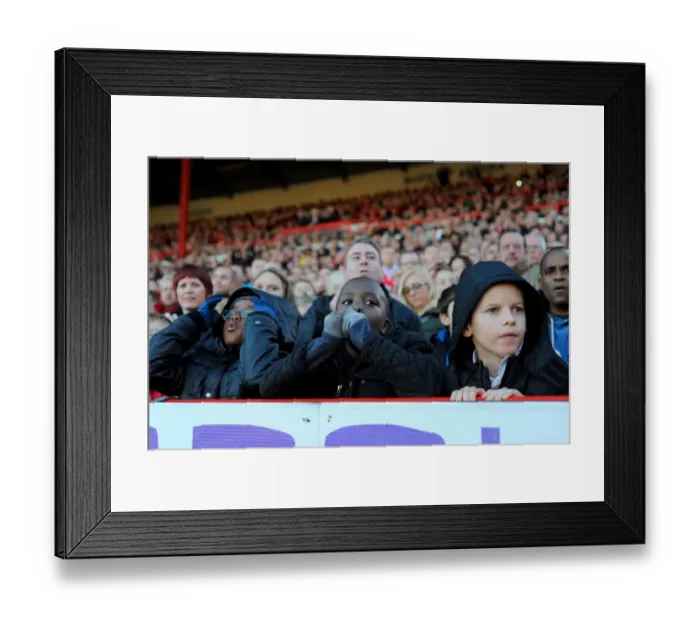 Framed Print : Bristol City Fans Showing Emotions During the Match against Preston North End (Nizaam Jones - 22 / 11 / 2014)