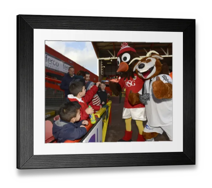 Framed Print : Fans Meet the Mascots: Bristol City vs AFC Telford United FA Cup Match, Ashton Gate Framed Print : Fans Meet the Mascots: Bristol City vs AFC Telford United FA Cup Match, Ashton Gate