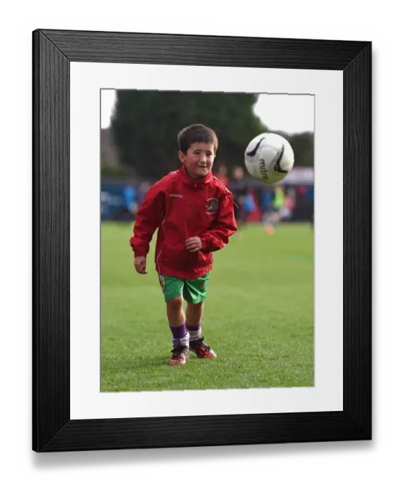 Framed Print : Bristol City Mascot Enjoying Pre-Match Kickabout at Ashton Gate Framed Print : Bristol City Mascot Enjoying Pre-Match Kickabout at Ashton Gate