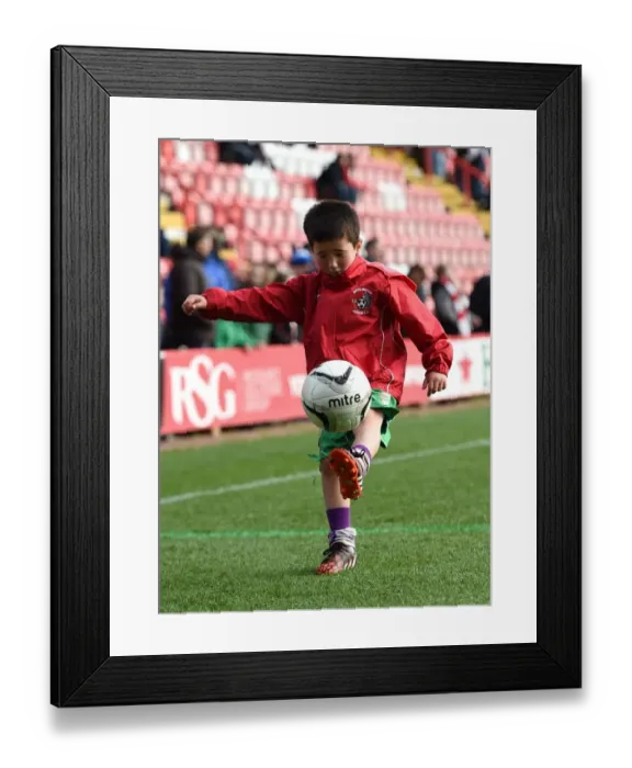 Framed Print : Bristol City Mascot's Pre-Match Kickabout at Ashton Gate Framed Print : Bristol City Mascot's Pre-Match Kickabout at Ashton Gate