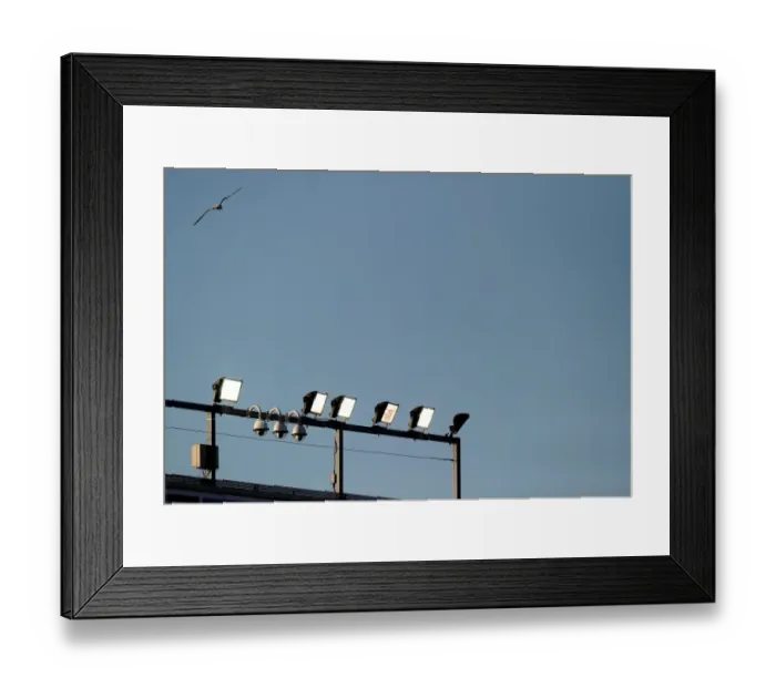 Framed Print : Bristol City vs AFC Telford United at Ashton Gate: FA Cup Match under Williams Stand Floodlights