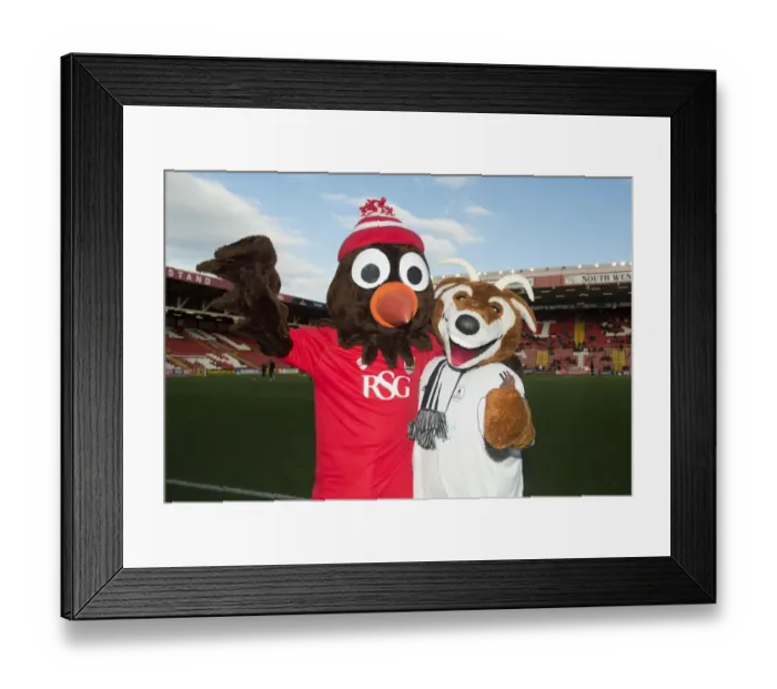 Framed Print : FA Cup Mascot Clash: Bristol City vs AFC Telford United at Ashton Gate Framed Print : FA Cup Mascot Clash: Bristol City vs AFC Telford United at Ashton Gate