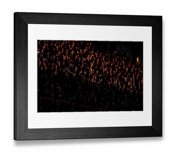 Framed Print : Bristol City FC: FA Cup Match - Dolman Stand Fans Basking in the Sunset