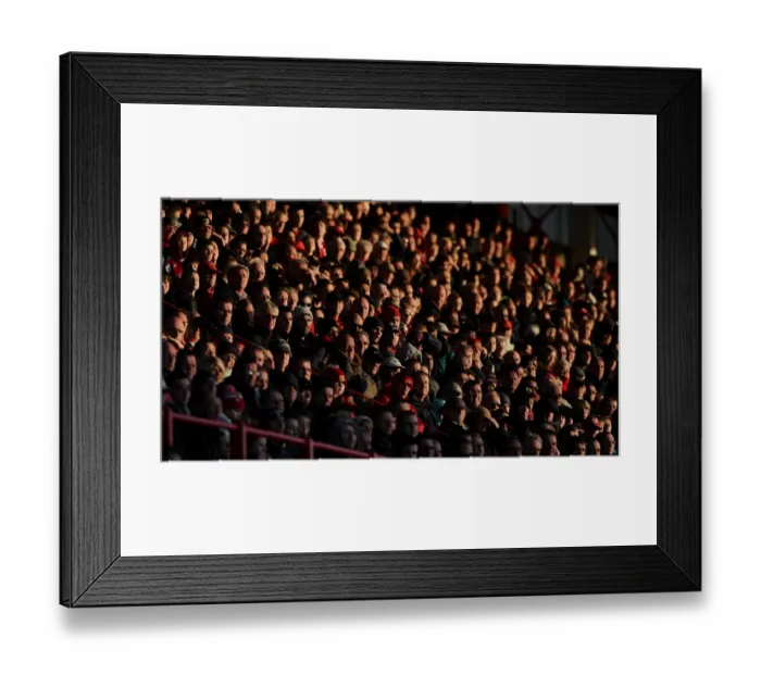 Framed Print : Bristol City Football Club: FA Cup Match against AFC Telford United - Fans in the Dolman Stand Bask in the Setting Sun