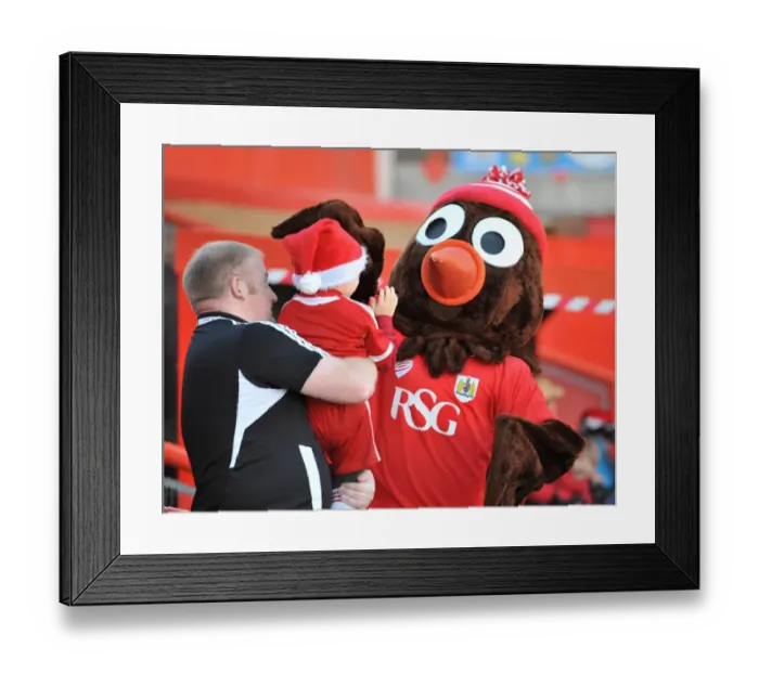 Framed Print : Bristol City vs Crawley Town: A Passionate Football Moment at Ashton Gate, 13th December 2014 Framed Print : Bristol City vs Crawley Town: A Passionate Football Moment at Ashton Gate, 13th December 2014