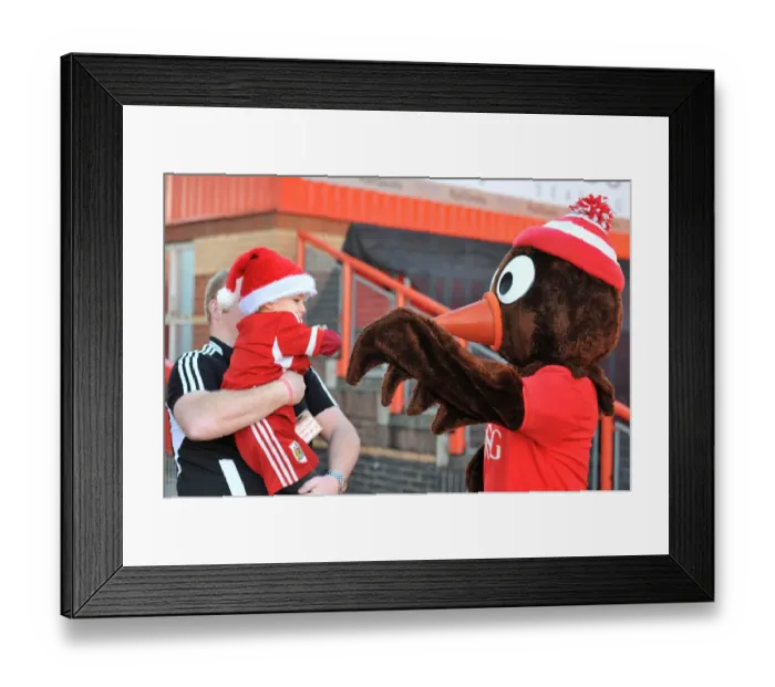 Framed Print : Bristol City Fans Celebrate with Scrumpy at Ashton Gate during Bristol City vs Crawley Town Match, Sky Bet League One Framed Print : Bristol City Fans Celebrate with Scrumpy at Ashton Gate during Bristol City vs Crawley Town Match, Sky Bet League One