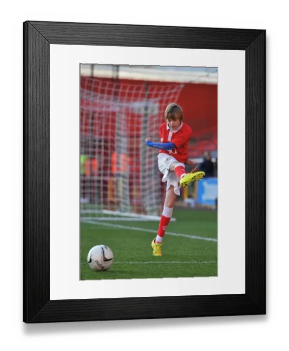 Framed Print : Bristol City vs Crawley Town Rivalry: Sky Bet League One Clash at Ashton Gate - 13th December 2014 (Football Match) - Bristol City v Crawley Town
