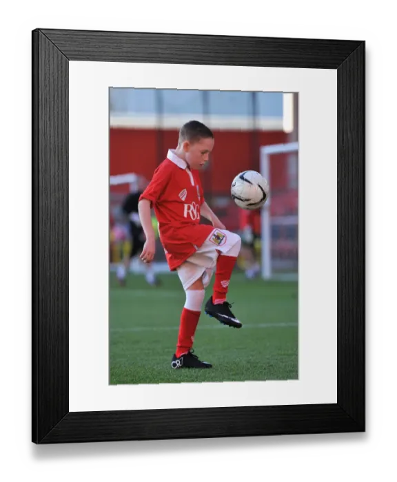 Framed Print : Bristol City vs Crawley Town: League One Clash at Ashton Gate, December 2014 Framed Print : Bristol City vs Crawley Town: League One Clash at Ashton Gate, December 2014