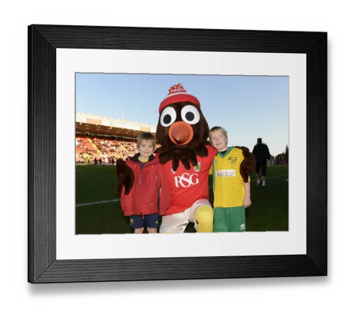 Framed Print : Bristol City vs Crawley Town: Sky Bet League One Clash at Ashton Gate (December 13, 2014) Framed Print : Bristol City vs Crawley Town: Sky Bet League One Clash at Ashton Gate (December 13, 2014)