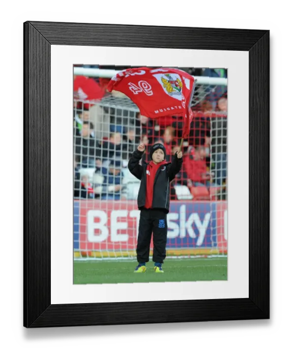 Framed Print : Bristol City vs Crawley Town: Sky Bet League One Clash at Ashton Gate (December 13, 2014) Framed Print : Bristol City vs Crawley Town: Sky Bet League One Clash at Ashton Gate (December 13, 2014)