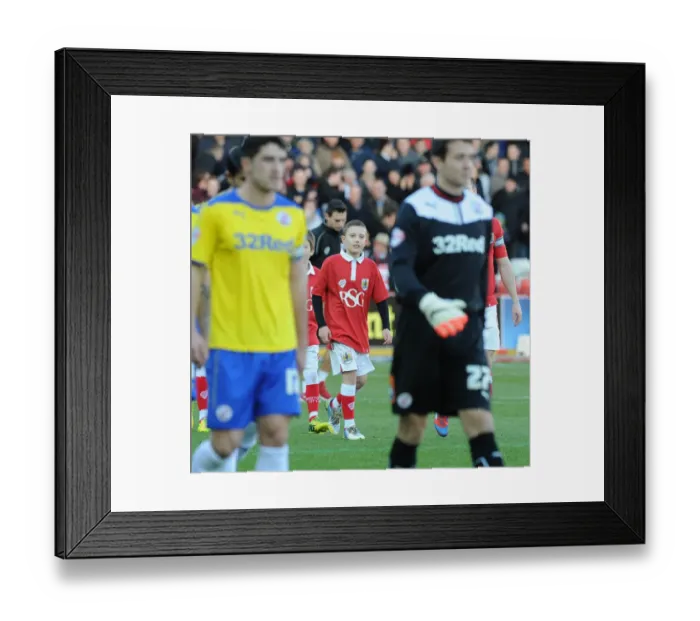 Framed Print : Bristol City vs Crawley Town: Sky Bet League One Clash at Ashton Gate (December 13, 2014) Framed Print : Bristol City vs Crawley Town: Sky Bet League One Clash at Ashton Gate (December 13, 2014)