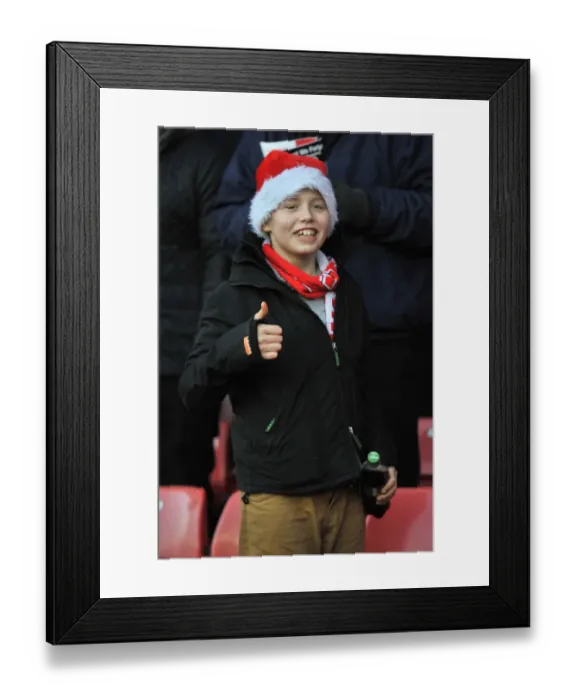 Framed Print : Bristol City vs Crawley Town: Sky Bet League One Clash at Ashton Gate (December 13, 2014) Framed Print : Bristol City vs Crawley Town: Sky Bet League One Clash at Ashton Gate (December 13, 2014)