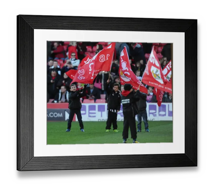 Framed Print : Intense Football Action: Bristol City vs Crawley Town, Sky Bet League One (December 13, 2014) Framed Print : Intense Football Action: Bristol City vs Crawley Town, Sky Bet League One (December 13, 2014)