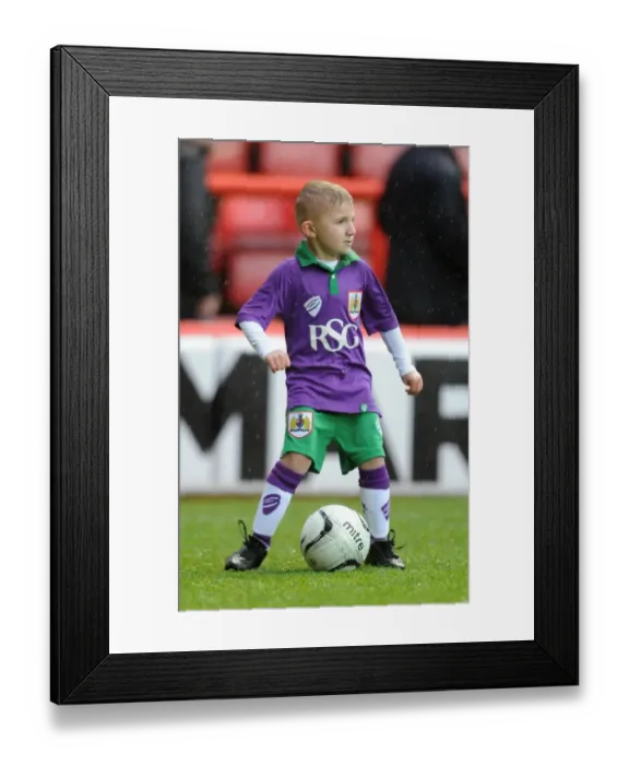 Framed Print : Bristol City vs Yeovil Town Clash: Sky Bet League One at Ashton Gate, December 2014