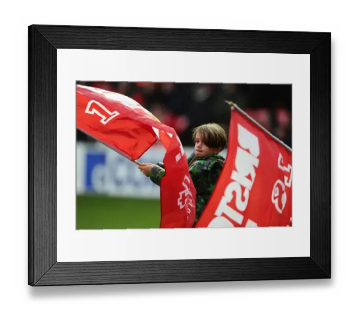 Framed Print : Bristol City vs. Yeovil Town: Flag-Bearing Moment at Ashton Gate, December 2014 Framed Print : Bristol City vs. Yeovil Town: Flag-Bearing Moment at Ashton Gate, December 2014
