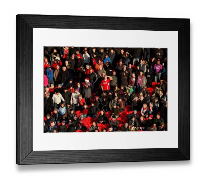 Framed Print : Bristol City Fans Euphoria at Doncaster Rovers vs. Bristol City FA Cup Match, January 2015