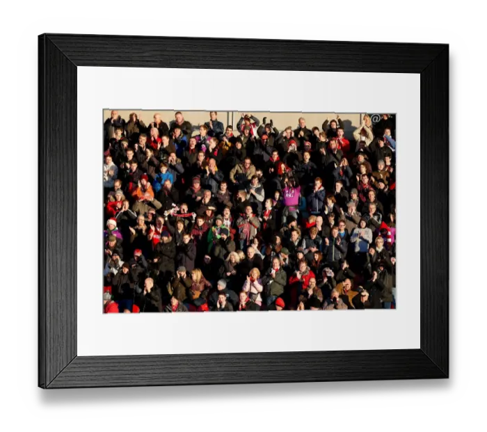 Framed Print : Bristol City Fans Euphoria at Doncaster Rovers FA Cup Match, January 2015 Framed Print : Bristol City Fans Euphoria at Doncaster Rovers FA Cup Match, January 2015