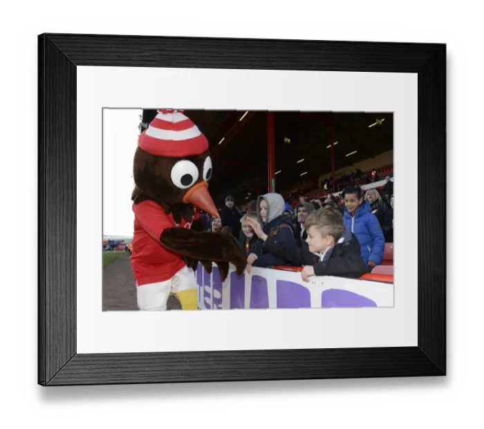 Framed Print : Bristol City vs Notts County Clash in Sky Bet League One at Ashton Gate Stadium, January 10, 2015