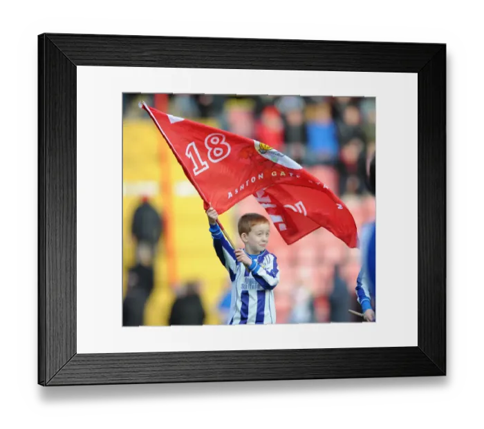 Framed Print : Bristol City FC: Guard of Honor for Notts County in Sky Bet League One at Ashton Gate, January 2015