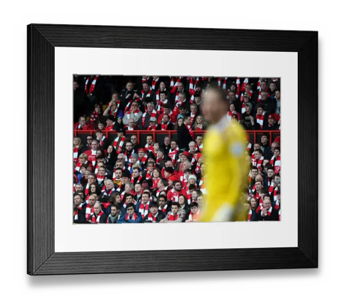 Framed Print : Bristol City Fans United: A Sea of Scarves at Ashton Gate During the FA Cup Fourth Round Match Against West Ham United, January 2015 Framed Print : Bristol City Fans United: A Sea of Scarves at Ashton Gate During the FA Cup Fourth Round Match Against West Ham United, January 2015