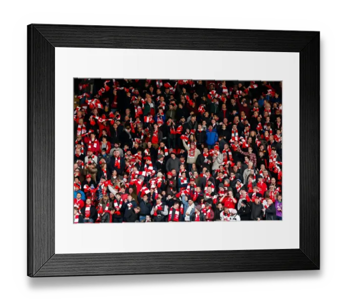 Framed Print : Sea of Scarves: Uniting Bristol City Fans Before the FA Cup Clash with West Ham United Framed Print : Sea of Scarves: Uniting Bristol City Fans Before the FA Cup Clash with West Ham United