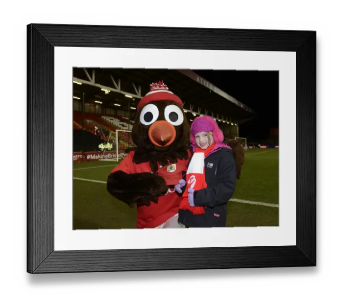Framed Print : Bristol City vs Gillingham: Johnstone's Paint Trophy Clash at Ashton Gate, 2015 Framed Print : Bristol City vs Gillingham: Johnstone's Paint Trophy Clash at Ashton Gate, 2015