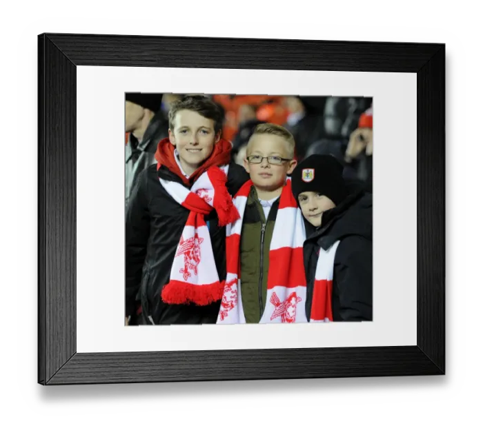 Framed Print : Bristol City vs Gillingham: Johnstones Paint Trophy Clash at Ashton Gate Stadium (January 29, 2015) Framed Print : Bristol City vs Gillingham: Johnstones Paint Trophy Clash at Ashton Gate Stadium (January 29, 2015)