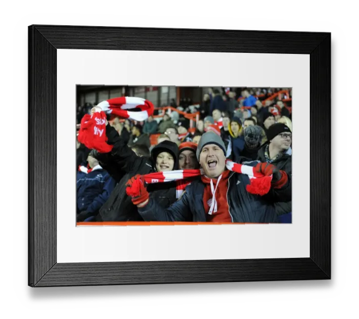 Framed Print : Bristol City FC: Thrilling Johnstones Paint Trophy Victory over Gillingham - Ashton Gate Stadium, 29 January 2015