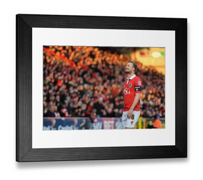 Framed Print : Bristol City vs Fleetwood Town: Wade Elliott in Action at Ashton Gate, January 2015 Framed Print : Bristol City vs Fleetwood Town: Wade Elliott in Action at Ashton Gate, January 2015