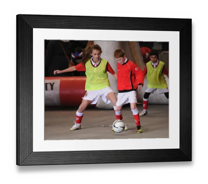 Framed Print : Bristol City Football Club at Ashton Gate: Sky Bet League One Clash against Fleetwood Town (January 2015)