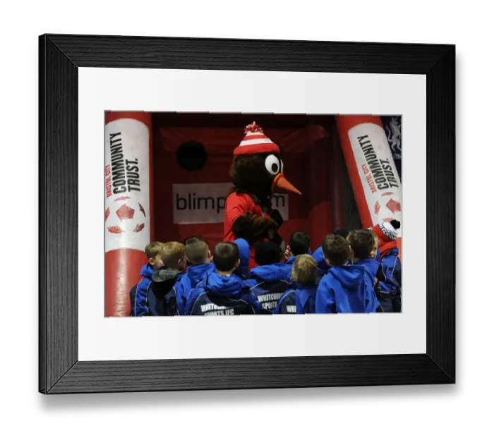 Framed Print : Bristol City vs Fleetwood Town: Sky Bet League One Match at Ashton Gate (01 / 02 / 2015) Framed Print : Bristol City vs Fleetwood Town: Sky Bet League One Match at Ashton Gate (01 / 02 / 2015)